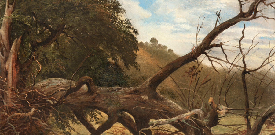 Robert Zünd – VERKAUFT