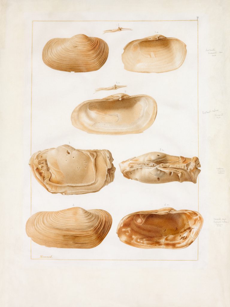 François Ménard de la Groye – SOLD