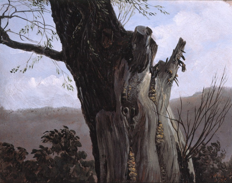 Carl Gustav Carus – SOLD