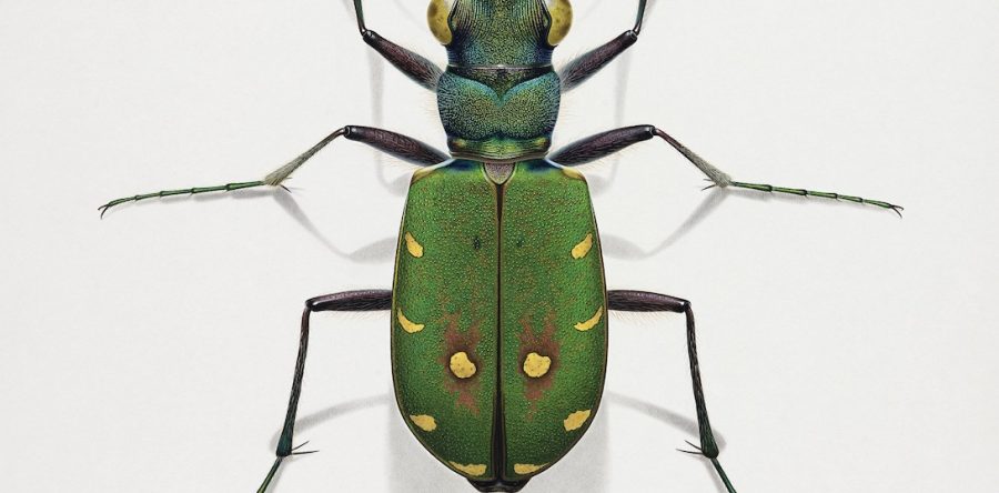 Bernard Durin – VERKAUFT