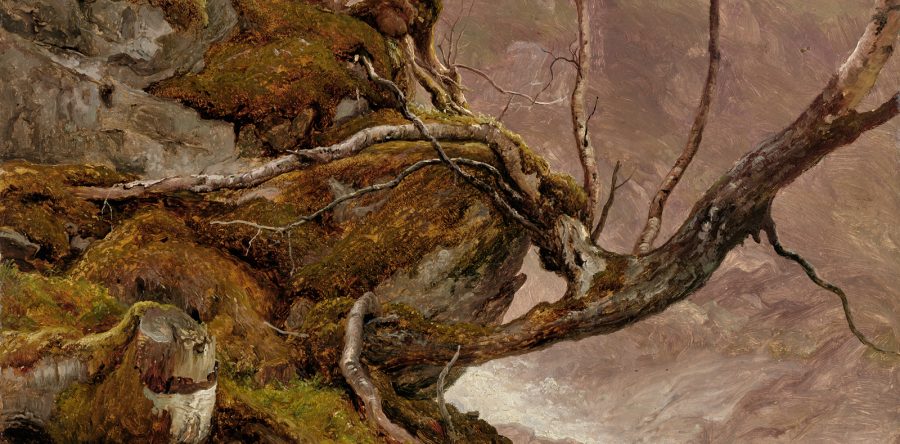 Thomas Fearnley – VERKAUFT